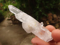 Natural Single Clear Quartz Crystals  x 35 From Zambia - Toprock Gemstones and Minerals 