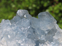 Natural Blue Celestite Crystal Specimens  x 5 From Sakoany, Madagascar - Toprock Gemstones and Minerals 