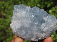 Natural Blue Celestite Crystal Specimens  x 5 From Sakoany, Madagascar - Toprock Gemstones and Minerals 