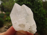 Natural Single Clear Quartz Crystals  x 35 From Zambia - Toprock Gemstones and Minerals 