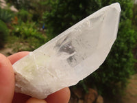 Natural Single Clear Quartz Crystals  x 35 From Zambia - Toprock Gemstones and Minerals 