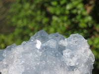 Natural Blue Celestite Crystal Specimens  x 5 From Sakoany, Madagascar - Toprock Gemstones and Minerals 