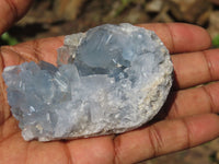 Natural Blue Celestite Crystal Specimens  x 5 From Sakoany, Madagascar - Toprock Gemstones and Minerals 