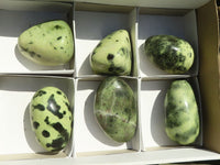 Polished Spotted Leopard Stone Free Forms  x 6 From Zimbabwe - Toprock Gemstones and Minerals 