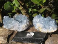 Natural Blue Celestite Crystal Specimens  x 5 From Sakoany, Madagascar - Toprock Gemstones and Minerals 