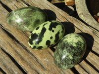 Polished Spotted Leopard Stone Free Forms  x 6 From Zimbabwe - Toprock Gemstones and Minerals 