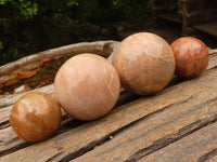 Polished Gorgeous Peach Moonstone Spheres  x 4 From Madagascar - Toprock Gemstones and Minerals 