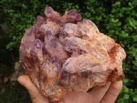 Natural Sugar Amethyst Clusters  x 2 From Solwezi, Zambia - TopRock