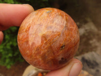 Polished Gorgeous Peach Moonstone Spheres  x 4 From Madagascar - Toprock Gemstones and Minerals 