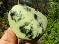 Polished Spotted Leopard Stone Free Forms  x 6 From Zimbabwe - Toprock Gemstones and Minerals 