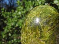 Polished Green Opal Standing Free Forms  x 3 From Antsirabe, Madagascar - Toprock Gemstones and Minerals 