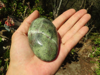 Polished Spotted Leopard Stone Free Forms  x 6 From Zimbabwe - Toprock Gemstones and Minerals 