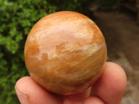 Polished Gorgeous Peach Moonstone Spheres  x 4 From Madagascar - Toprock Gemstones and Minerals 