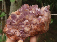 Natural Sugar Amethyst Clusters  x 2 From Solwezi, Zambia - TopRock