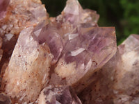 Natural Sugar Amethyst Clusters  x 2 From Solwezi, Zambia - TopRock