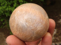 Polished Gorgeous Peach Moonstone Spheres  x 4 From Madagascar - Toprock Gemstones and Minerals 