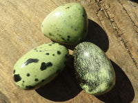 Polished Spotted Leopard Stone Free Forms  x 6 From Zimbabwe - Toprock Gemstones and Minerals 