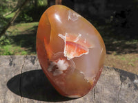 Polished Stunning Selection Of Dendritic & Coral Flower Agate Standing Free Forms  x 4 From Madagascar - TopRock