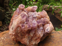 Natural Sugar Amethyst Clusters  x 2 From Solwezi, Zambia - TopRock