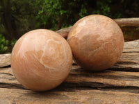 Polished Gorgeous Peach Moonstone Spheres  x 4 From Madagascar - Toprock Gemstones and Minerals 