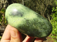 Polished Spotted Leopard Stone Free Forms  x 6 From Zimbabwe - Toprock Gemstones and Minerals 