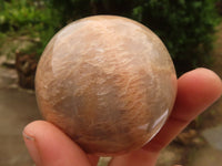 Polished Gorgeous Peach Moonstone Spheres  x 4 From Madagascar - Toprock Gemstones and Minerals 