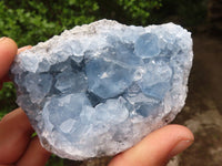 Natural Blue Celestite Crystal Specimens  x 3 From Sakoany, Madagascar - Toprock Gemstones and Minerals 