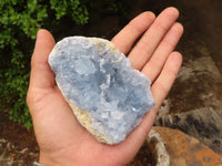 Natural Blue Celestite Crystal Specimens  x 3 From Sakoany, Madagascar - Toprock Gemstones and Minerals 