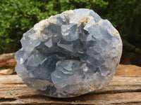 Natural Blue Celestite Crystal Specimens  x 3 From Sakoany, Madagascar - Toprock Gemstones and Minerals 