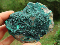 Natural Malachite Crystalline Specimens x 6 From Tenke Fungurume, Congo - TopRock