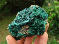 Natural Malachite Crystalline Specimens x 6 From Tenke Fungurume, Congo - TopRock