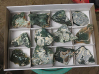 Natural Rough Green Mtorolite Specimens  x 12 From Zimbabwe - TopRock