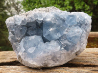 Natural Blue Celestite Crystal Specimens  x 3 From Sakoany, Madagascar - Toprock Gemstones and Minerals 