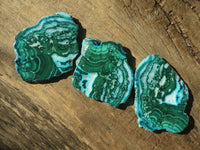 Polished Gorgeous Malacholla (Malachite & Chrysocolla) Slices  x 6 From Congo - Toprock Gemstones and Minerals 