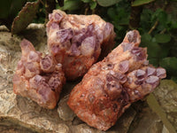 Natural Sugar Amethyst Clusters  x 3 From Solwezi, Zambia - TopRock