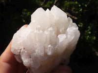 Natural White Quartz Clusters x 12 From Madagascar - Toprock Gemstones and Minerals 