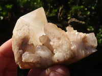 Natural White Quartz Clusters x 12 From Madagascar - Toprock Gemstones and Minerals 