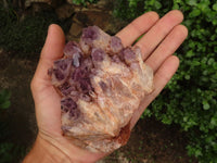 Natural Sugar Amethyst Clusters  x 3 From Solwezi, Zambia - TopRock