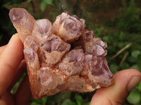 Natural Sugar Amethyst Clusters  x 3 From Solwezi, Zambia - TopRock