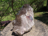 Natural Large Smokey Quartz Crystal With Polished Terminations  x 1 From Mt. Mulanje, Malawi - TopRock