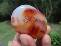 Polished Carnelian Gallets x 35 From Madagascar - TopRock