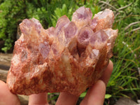 Natural Sugar Amethyst Clusters  x 3 From Solwezi, Zambia - TopRock