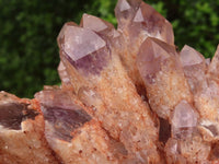 Natural Sugar Amethyst Clusters  x 3 From Solwezi, Zambia - TopRock