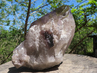 Natural Large Smokey Quartz Crystal With Polished Terminations  x 1 From Mt. Mulanje, Malawi - TopRock