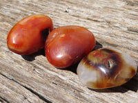 Polished Carnelian Gallets x 35 From Madagascar - TopRock