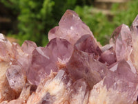 Natural Sugar Amethyst Clusters  x 3 From Solwezi, Zambia - TopRock