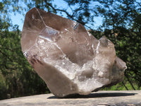 Natural Large Smokey Quartz Crystal With Polished Terminations  x 1 From Mt. Mulanje, Malawi - TopRock