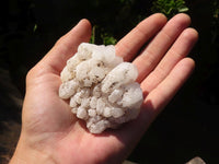 Natural White Quartz Clusters x 12 From Madagascar - Toprock Gemstones and Minerals 