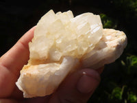 Natural White Quartz Clusters x 12 From Madagascar - Toprock Gemstones and Minerals 