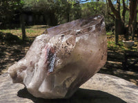 Natural Large Smokey Quartz Crystal With Polished Terminations  x 1 From Mt. Mulanje, Malawi - TopRock